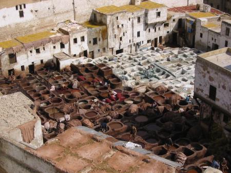 fes medina