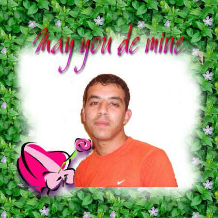 jolie photo